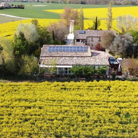 La Casa Di Tara B&B Armonia E Natura Recanati Eksteriør bilde