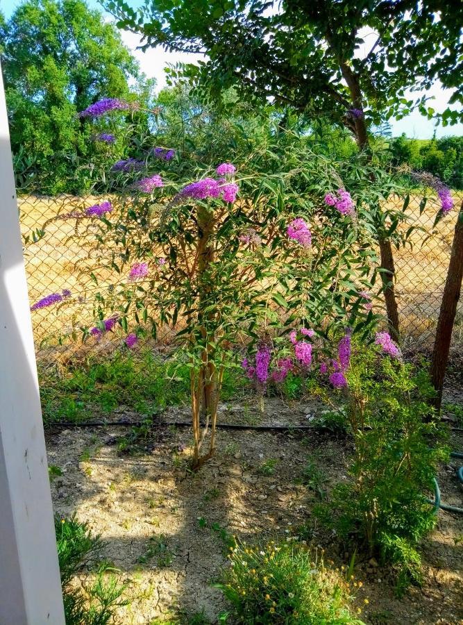La Casa Di Tara B&B Armonia E Natura Recanati Eksteriør bilde
