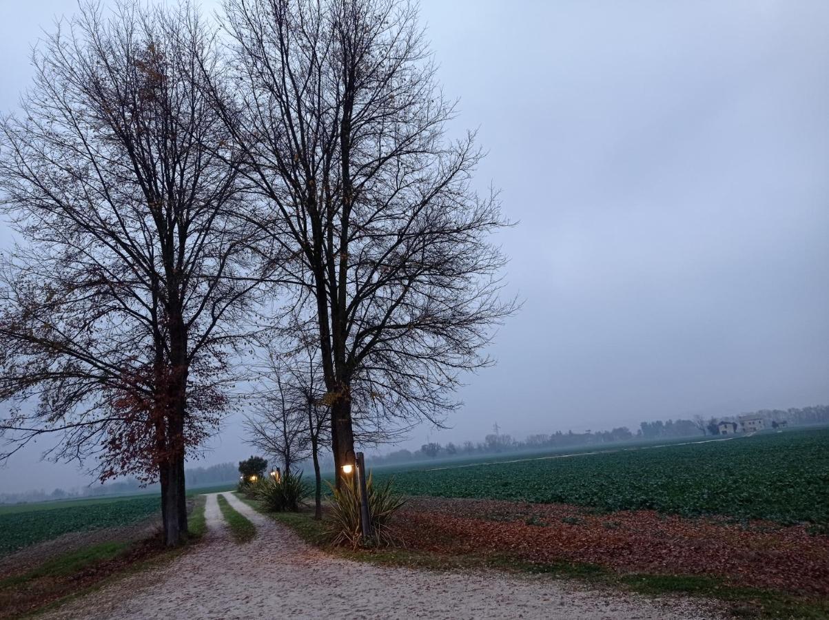 La Casa Di Tara B&B Armonia E Natura Recanati Eksteriør bilde