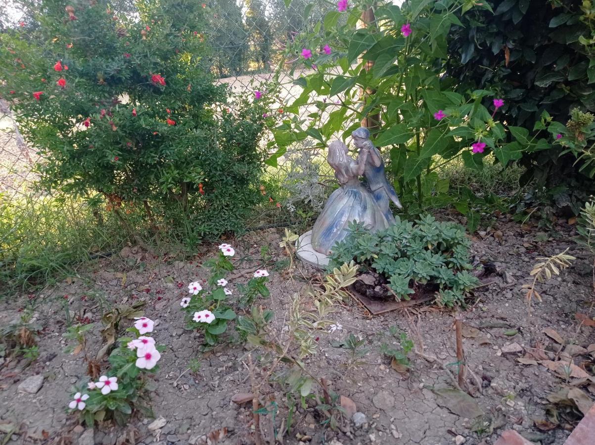 La Casa Di Tara B&B Armonia E Natura Recanati Eksteriør bilde