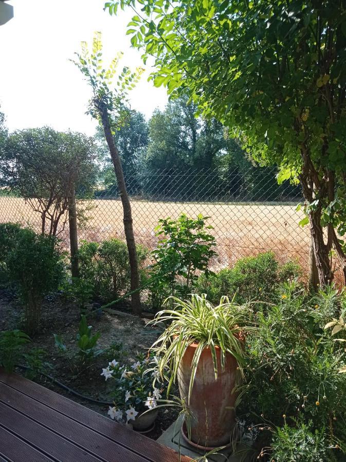 La Casa Di Tara B&B Armonia E Natura Recanati Eksteriør bilde