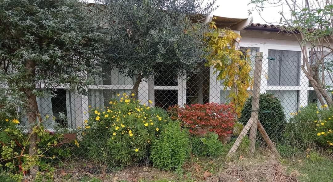 La Casa Di Tara B&B Armonia E Natura Recanati Eksteriør bilde
