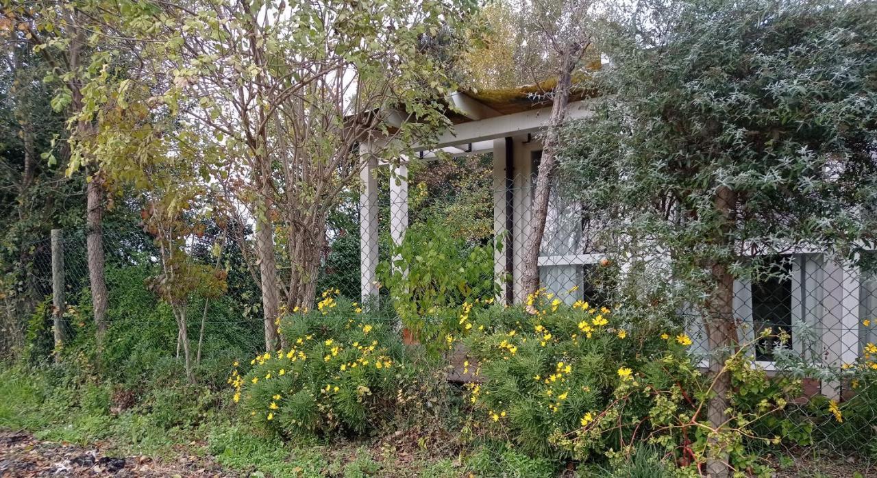 La Casa Di Tara B&B Armonia E Natura Recanati Eksteriør bilde