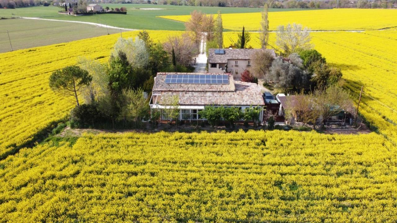 La Casa Di Tara B&B Armonia E Natura Recanati Eksteriør bilde