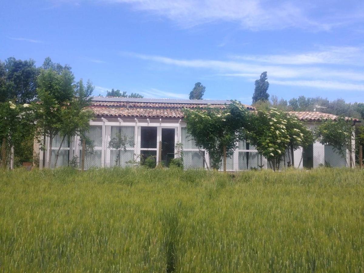 La Casa Di Tara B&B Armonia E Natura Recanati Eksteriør bilde