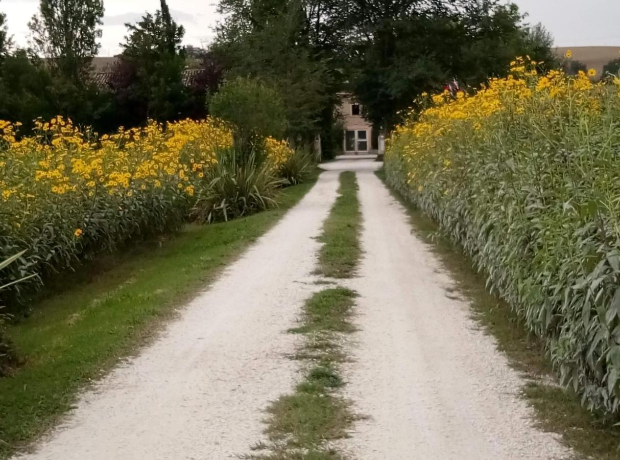 La Casa Di Tara B&B Armonia E Natura Recanati Eksteriør bilde
