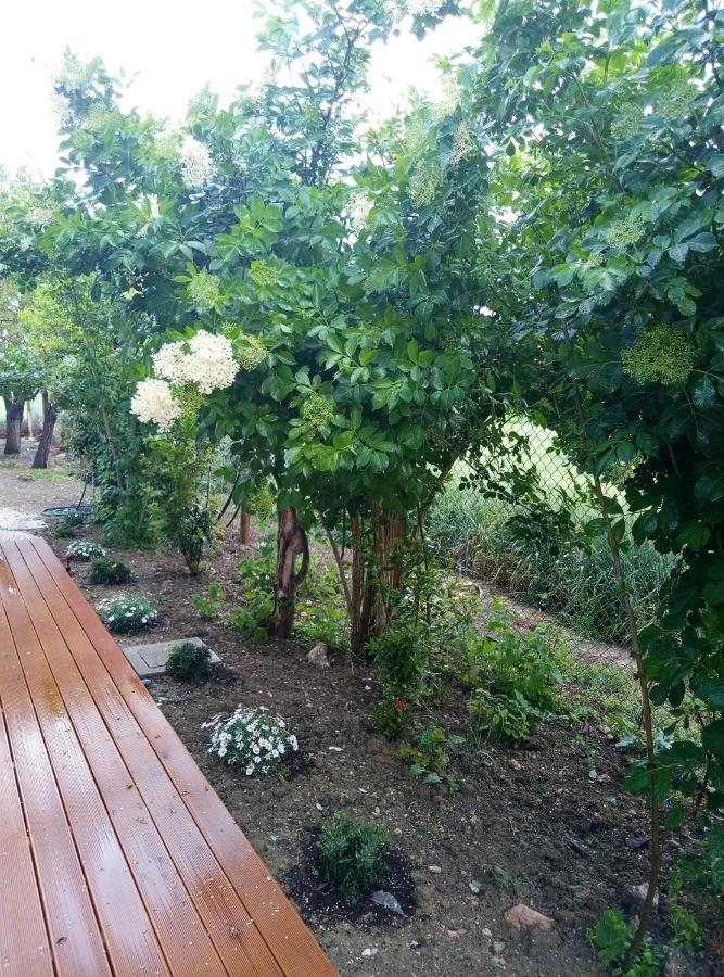 La Casa Di Tara B&B Armonia E Natura Recanati Eksteriør bilde