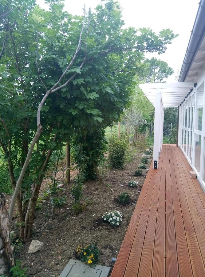La Casa Di Tara B&B Armonia E Natura Recanati Eksteriør bilde